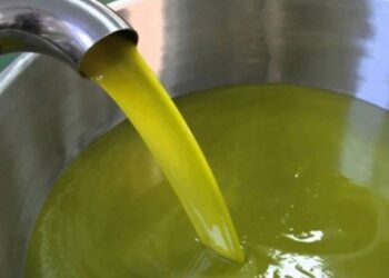 فتح المجال أمام الخواص لتصدير زيت الزيتون إلى أوروبا