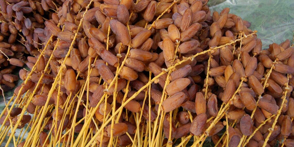 فضاء لبيع التمور من المنتج إلى المستهلك بشارع الحبيب بورقيبة