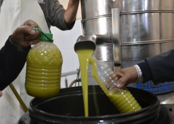 في منشور الى الوزراء وكتاب الدولة: رئيس الحكومة يدعو إلى ترويج زيت الزيتون في السوق الداخلية