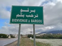 جهات-برقو(سليانة): اصابة 5 اشخاص إثر انفجار بالوعة لردم النفايات الكيمياويّة