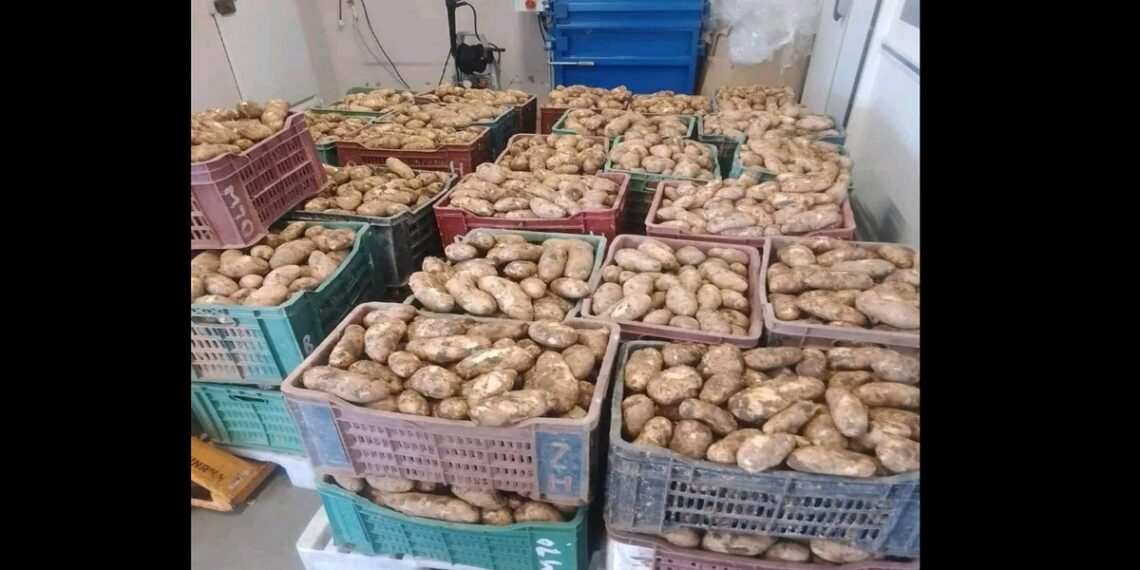 إعادة البطاطا الفاسدة المورّدة الى بلد المنشأ تركيا