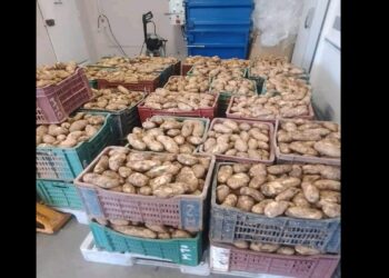 إعادة البطاطا الفاسدة المورّدة الى بلد المنشأ تركيا