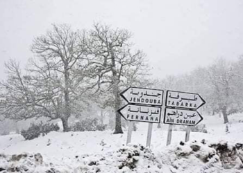 جهات-جندوبة: تواصل تساقط الثلوج بمرتفعات الولاية ودعوة إلى السوّاق بالتزام الحذر