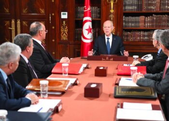 قيس سعيّد يأمر بجرد المؤسسات التي لا طائل من وجودها