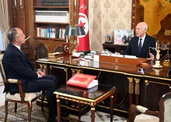 قيس سعيّد: “الحفاظ على البيئة في تونس لا يرتبط بعدد المؤسّسات بل بمدى نجاعتها” [فيديو]