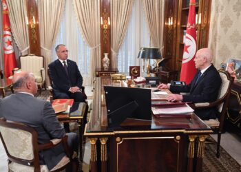 رئيس الدولة يوصى بمزيد تعزيز أسطول النقل وتطهير الادارة والاستعداد لعودة التونسيين بالخارج