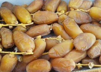 اقتصاد: عائدات صادرات التمور ترتفع بنسبة 11.4% حتى نهاية 2024
