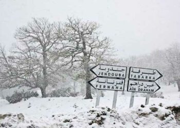 مناخ شهر ديسمبر 2024: تساقطات أرفع بقليل من متوسّط الفترة…وطبرقة سجّلت أعلى نسبة