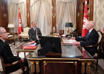 قيس سعيّد: وضع حدّ نهائي للمناولة