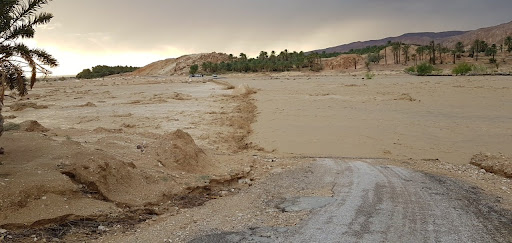 جهات-قبلّي/دوز: بعد انقطاع بسبب الأمطار… استئناف حركة المرور بين المدينتين