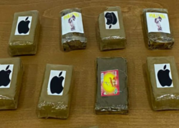 جهات-القصرين: الكشف عن وفاق إجرامي لترويج المخدّرات وحجز 1 كيلو من مخدّر القنب الهندي