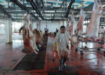 صحّة: أغلب المسالخ غير متحصّلة على المصادقة الصّحيّة