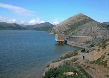 جهات-جندوبة: حملة تشجير بمحيط حوض سدّ كسّاب