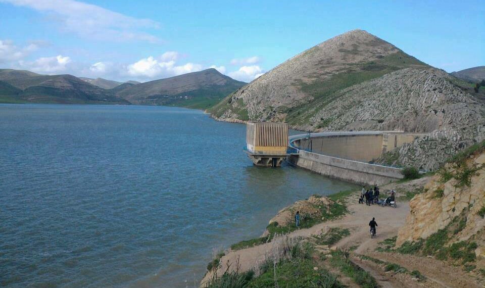 جهات-جندوبة: حملة تشجير بمحيط حوض سدّ كسّاب