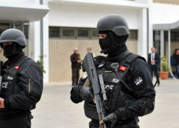 عمليات أمنية متزامنة بولايات تونس الكبرى والقيروان تسفر عن ضبط 420 “عنصرا إجراميا خطيرا” ومواد مخدرة