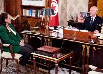 استقبل وزيرة المالية الجديدة: قيس سعيّد يشدد على ضرورة توحيد الجهات المتدخّلة في ملفّ الأملاك المصادرة