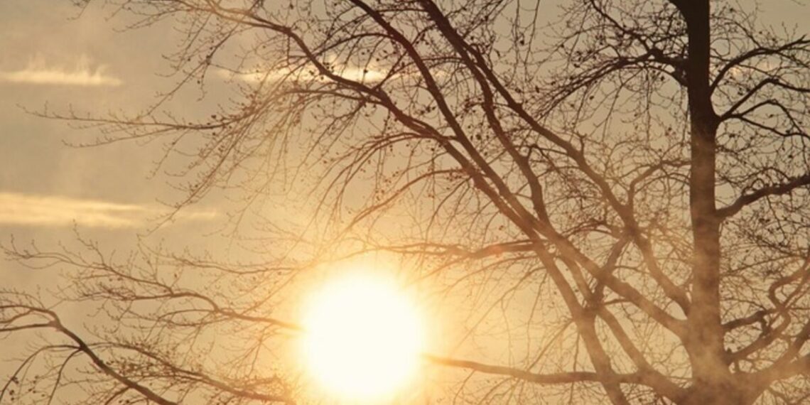 جانفي 2025: الشهر الخامس الأشدّ حرارة منذ 1950