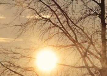 جانفي 2025: الشهر الخامس الأشدّ حرارة منذ 1950