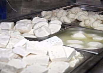 تغذية: شراء الحليب ومشتقّاته من محلّات غير مراقبة له مخاطر صحيّة كثيرة