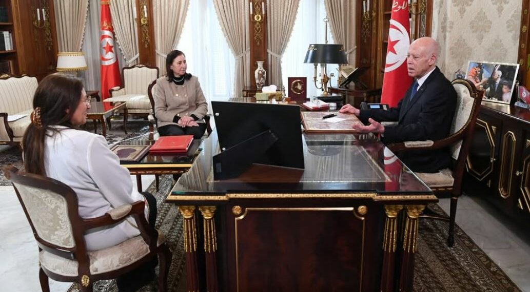 قيس سعيّد : وضع تصوّر جديد يضع حدّا لملف الأملاك المصادرة