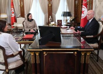 قيس سعيّد : وضع تصوّر جديد يضع حدّا لملف الأملاك المصادرة