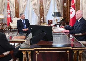 الوضع البيئي محور اجتماع رئيس الدولة بوزيري الداخلية والبيئة