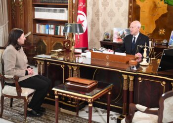 رئيس الجمهورية يطلع على الاتفاق بين تونس والصندوق الكويتي للتنمية لإنجاز مستشفيات في عدد من الجهات لدى استقباله وزيرة التجهيز والإسكان