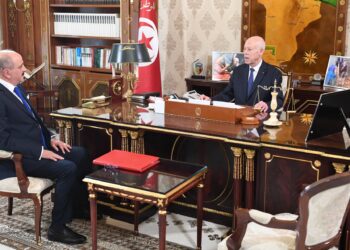 علاقات تونس بعدد من المنظمات الدولية ،وتأمين العودة الطوعية للمهاجرين غير النظاميين إلى بلدانهم ابرز محاور لقاء رئيس الجمهورية بوزير الخارجية
