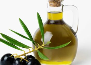 البرازيل تقرّ اعفاءً ضريبيا على زيت الزيتون والسفارة التونسية تدعو إلى التموقع في السوق البرازيلية