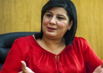 مجموعة العمل الأممية لحقوق الإنسان: “عبير موسي في وضع احتجاز قسري…”