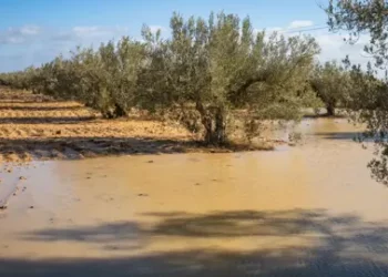 اهمّها كان بالجنوب الشرقي: كميات الامطار خلال ال24 ساعة الماضية