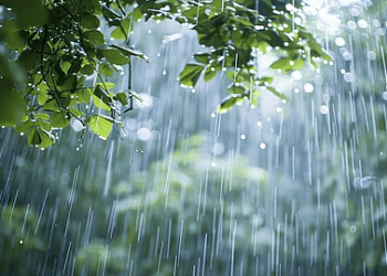 كميات الأمطار خلال ال24 ساعة الماضية