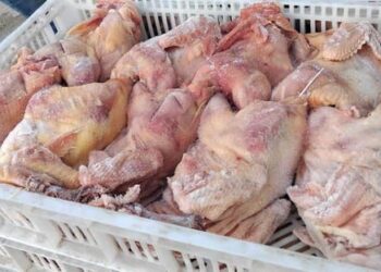 جهات- الهوارية- نابل: وحدات الحرس الوطني تداهم مسلخ عشوائي