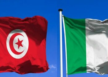 تونس-ايطاليا: اتفاق الاعتراف المتبادل برخص السياقة بغاية الاستبدال قريبا أمام الممؤسستين التشريعيّتين بكلا