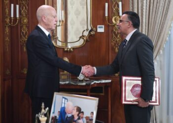 قيس سعيّد يسدي تعليماته بالعمل على جرد شامل  لكل أملاك الدولة