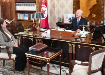 لدى استقباله وزيرة المالية: قيس سعيّد يؤكّد على ضرورة العدل والانصاف في تحديد نسب الضرائب