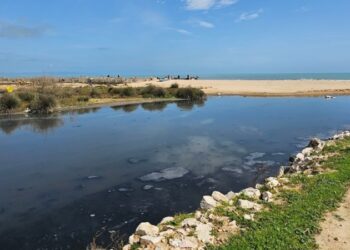 جهات-رواد-اريانة: ضخ مياه الصرف مباشرة في البحر يهدد بكارثة بيئيّة وصحيّة