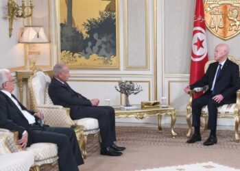 استقبل أمين عام الجامعة العربية: سعيّد يؤكّد على ضرورة أن تكون الأمة العربية فاعلة في هذه المرحلة التاريخية