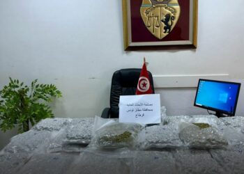 مطار تونس قرطاج: ضبط مسافر أجنبي بحوزته 16 كغ من مادة “الماريخوانا”