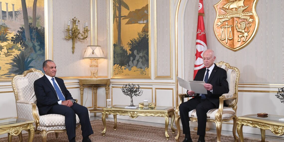 قيس سعيّد يستقبل وزير خارجية مصر محملا برسالة من الرئيس السيسي