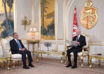 قيس سعيّد يستقبل وزير خارجية مصر محملا برسالة من الرئيس السيسي