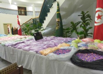 أكبر عملية ضد المخدرات في تاريخ تونس…حجز 1مليون و200 ألف قرص مخدر “إكستازي” بقيمة 40 مليار