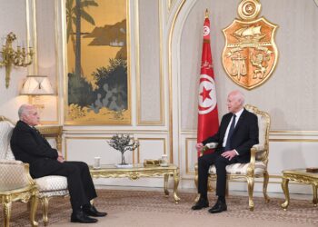 رئيس الدولة يؤكد في لقائه مع المبعوث الخاص الجزائري ضرورة توحيد الرؤى والمواقف بين البلدين في الظرف الدولي الراهن