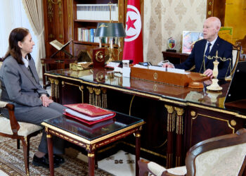 رئيس الجمهورية يؤكد في لقائه برئيسة الحكومة، على ضرورة وضع مشاريع النصوص بشكل يقطع نهائيا مع الماضي