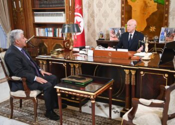 رئيس الجمهورية يطلع على نتائج زيارة وزير التشغيل والتكوين المهني إلى دولة ليبيا