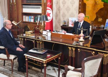 رئيس الجمهورية يؤكد مُجدّدا رفض تونس القاطع لأن تكون معبرا أو مقرّا