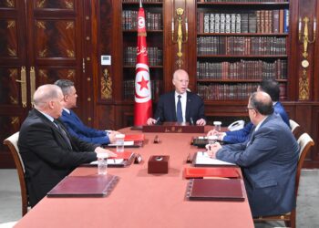 رئيس الجمهورية لدى استقباله وزير الداخلية: شبكات تهريب المخدّرات بتونس تعمل على ضرب الاستقرار داخل المجتمع