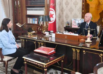 رئيس الجمهورية يؤكد ضرورة إعطاء الأولوية المطلقة لحل القضايا الاجتماعية في مشاريع القوانين