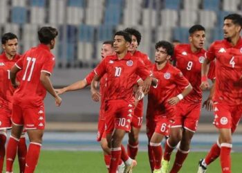 كرة القدم-كأس-إفريقيا للأقل من 17 سنة: النسور في الرّبع نهائي…مع ترشّح لكأس العالم قطر 2025′