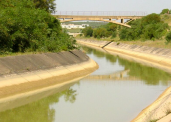تعيين: كريم مامة رئيسا مديرا لشركة استغلال قنال وانابيب مياه الشمال